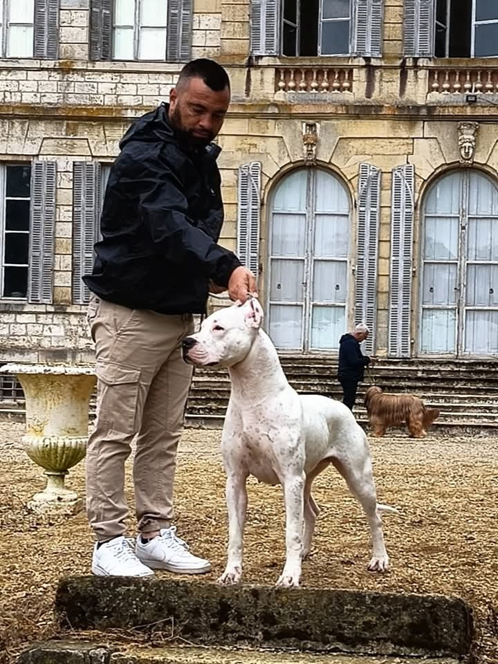 Victoire du domaine de Giulaxe