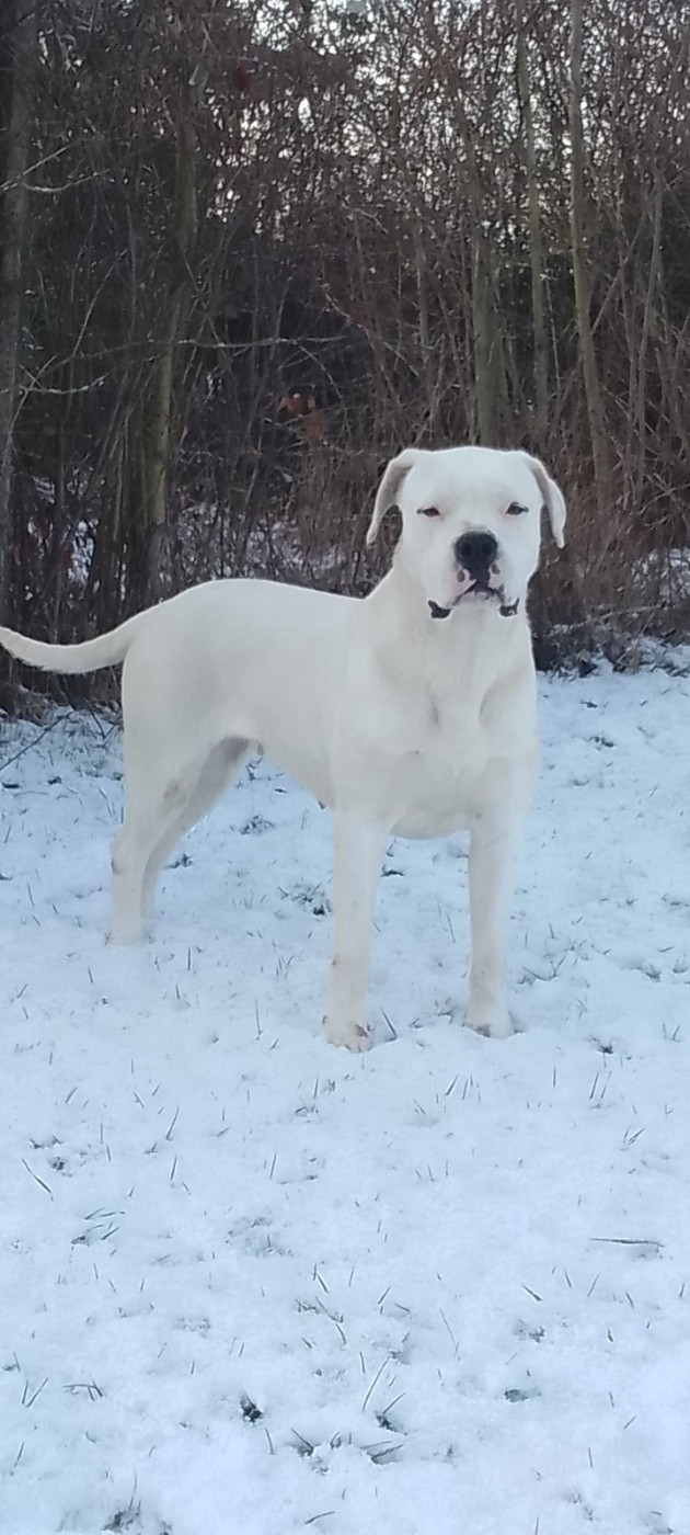 Vedette du domaine de Giulaxe