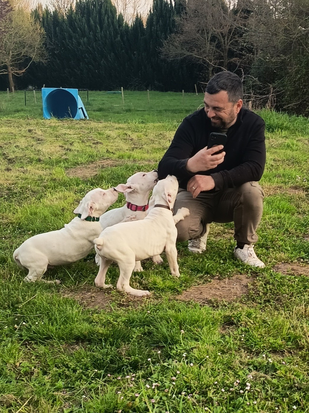CHIOTS A L'ELEVAGE